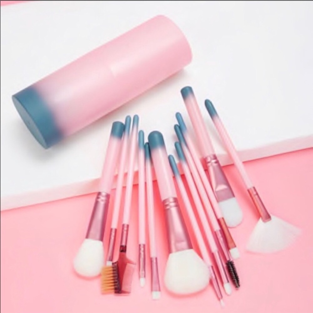 ✨ 12 Makeup Brushes & Plastic Case Pink & Blue✨